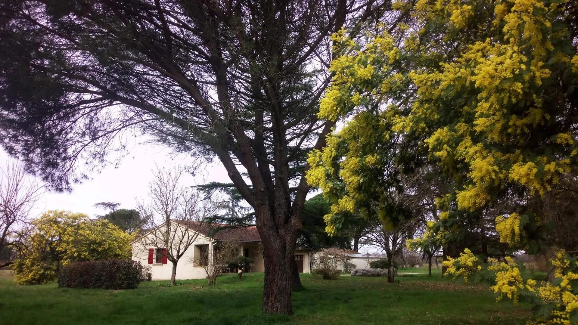Les Mimosas Villa Brens  Holiday home Brens (Tarn)